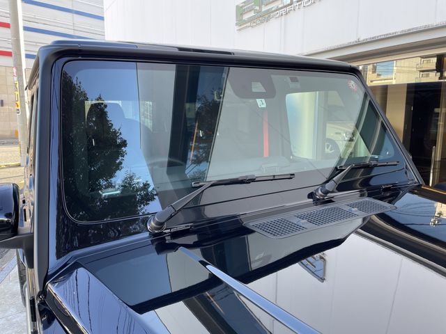 Mercedes Benz G-CLASS 2021-01 196008-11
