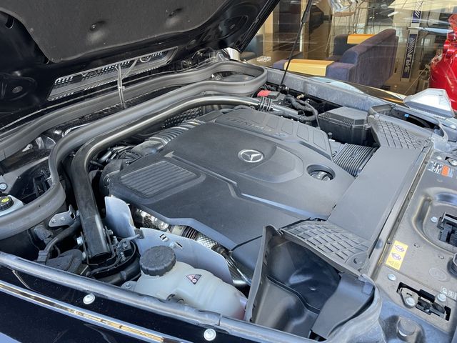 Mercedes Benz G-CLASS 2021-01 196008-29