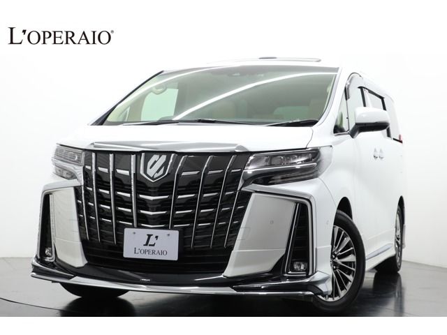 Toyota ALPHARD 2020-11 193793-0