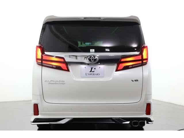 Toyota ALPHARD 2020-11 193793-19