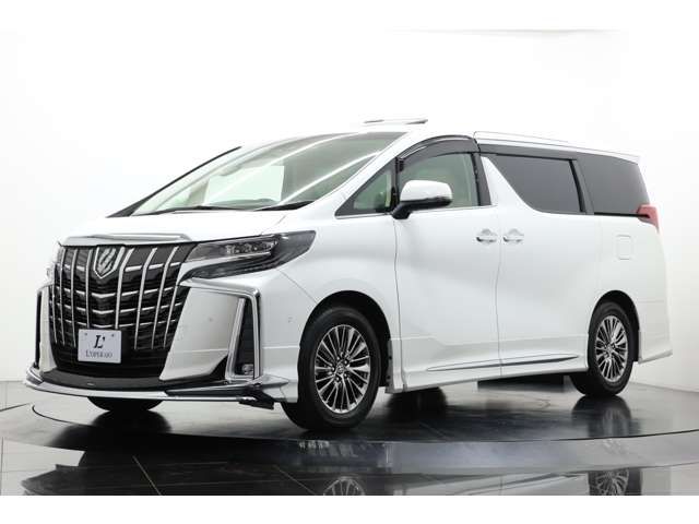 Toyota ALPHARD 2020-11 193793-16
