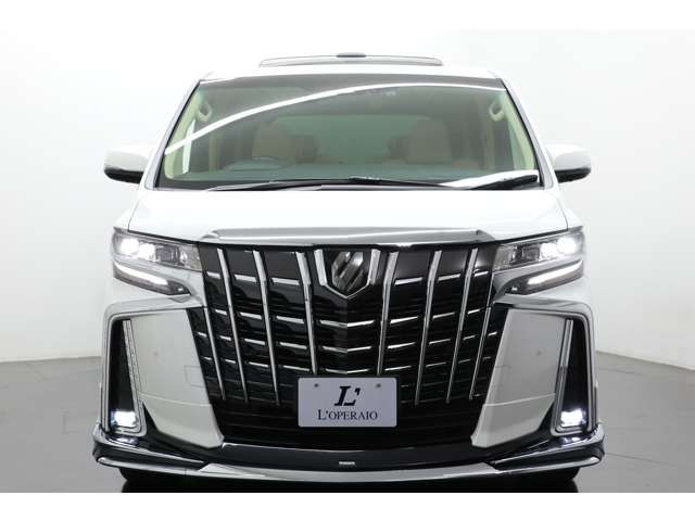 Toyota ALPHARD 2020-11 193793-15