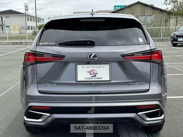 Lexus NX 2018-04 275665-12