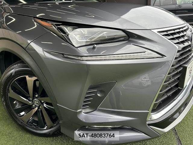 Lexus NX 2018-04 275665-18