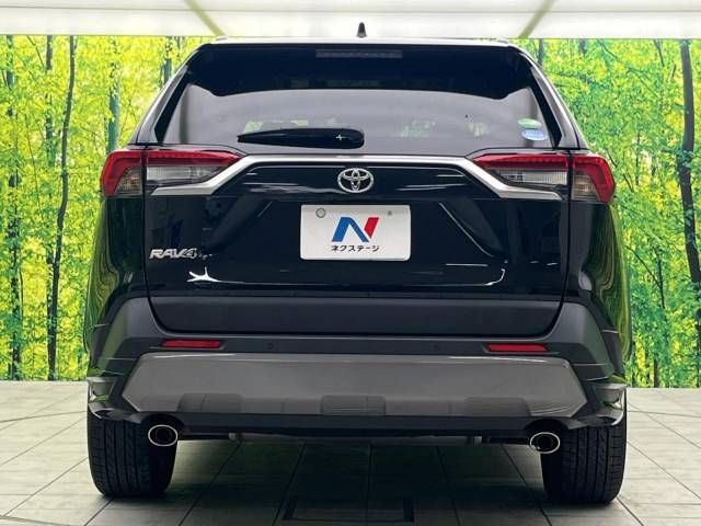 Toyota RAV4 2019-06 193867-15