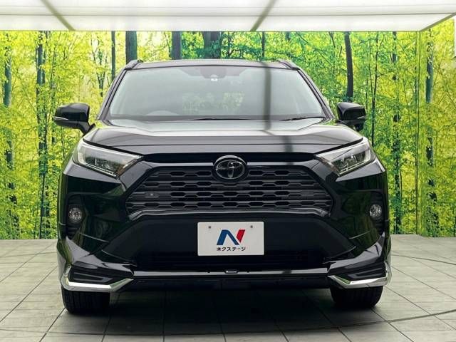 Toyota RAV4 2019-06 193867-14