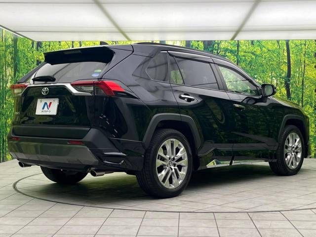 Toyota RAV4 2019-06 193867-17