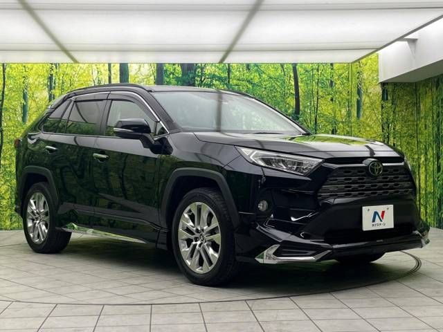 Toyota RAV4 2019-06 193867-16
