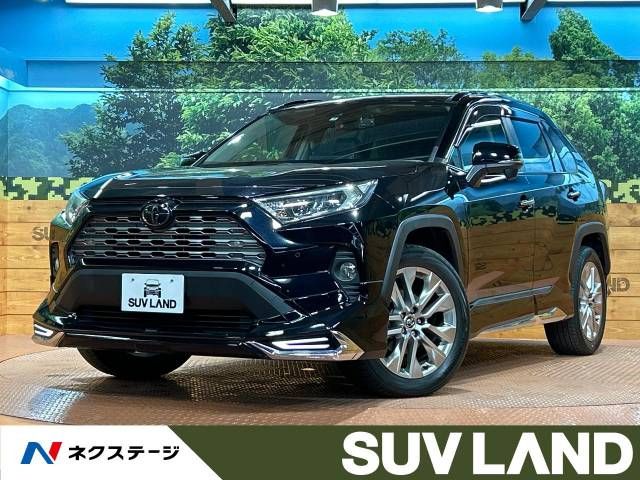 Toyota RAV4 2019-06 193867-0