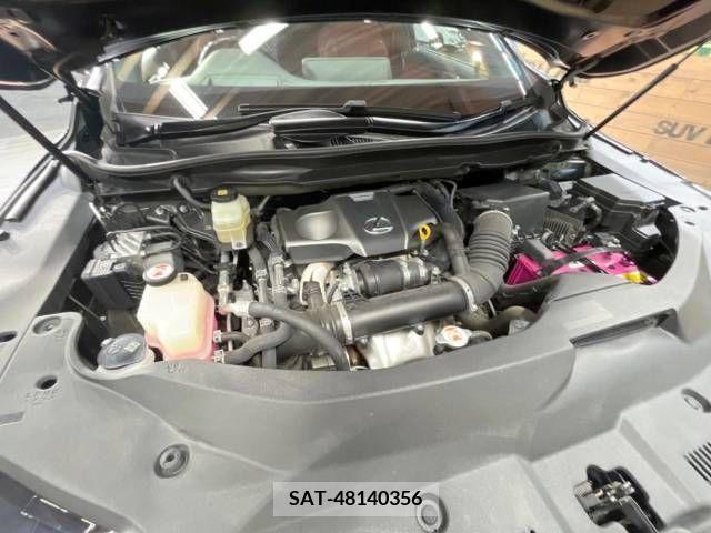 Lexus RX 2017-05 299703-19