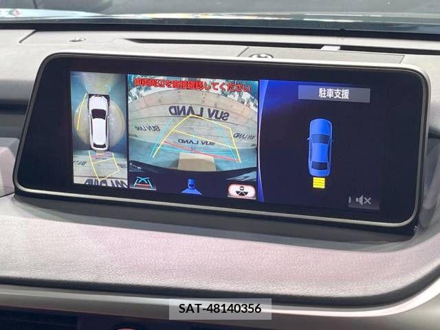 Lexus RX 2017-05 299703-4