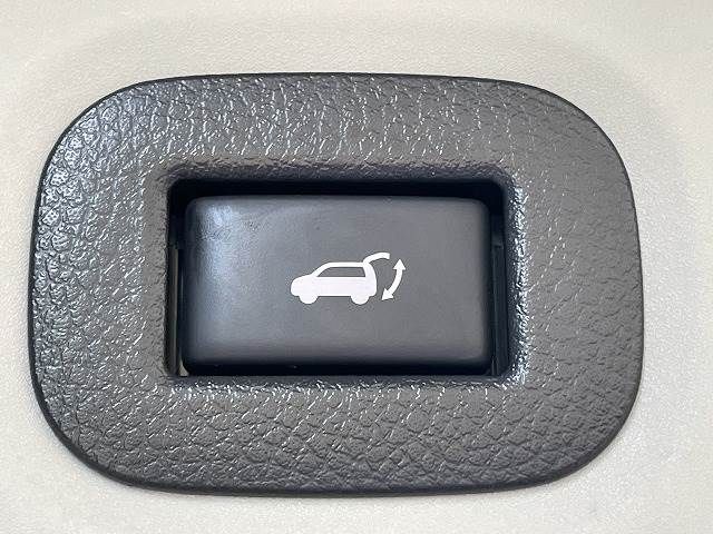 Nissan X-TRAIL 2018-03 11076-6