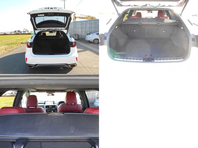 Lexus RX 2017-08 183129-10