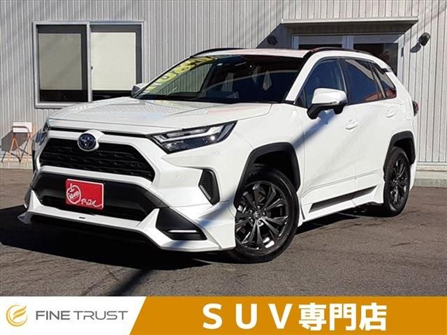 Toyota RAV4 2022-11 15008-0