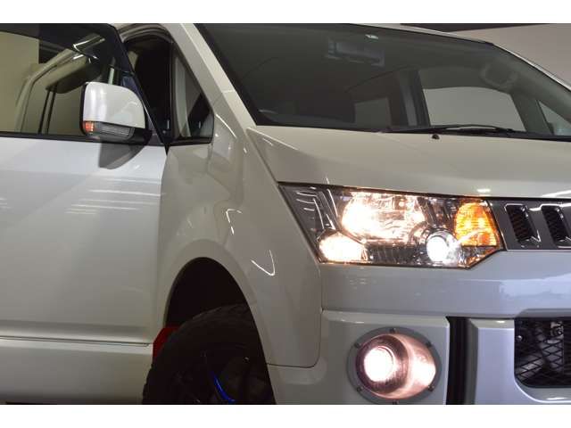 Mitsubishi DELICA D5 2014-07 2491-17