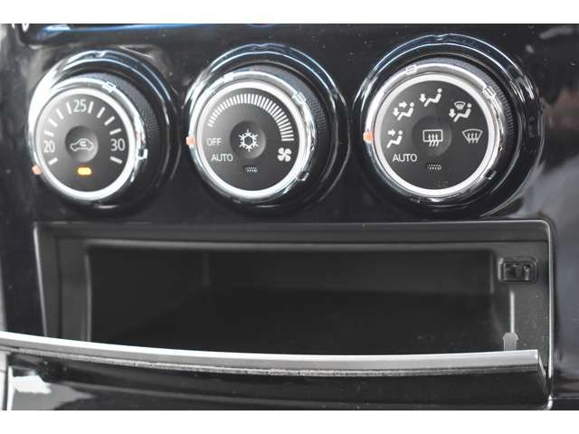 Mitsubishi DELICA D5 2014-07 2491-10