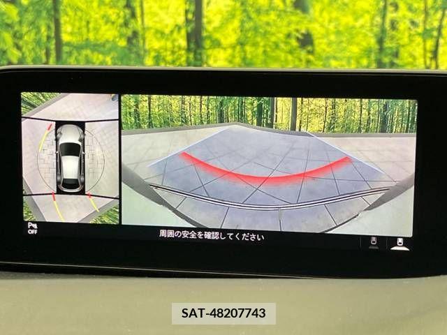 Mazda MAZDA3 2019-09 346055-3