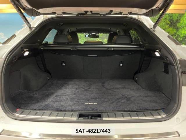 Lexus RX 2019-09 334433-10