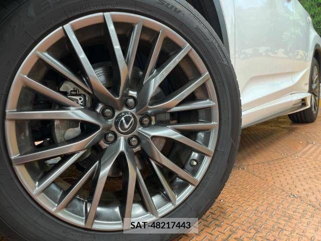 Lexus RX 2019-09 334433-13