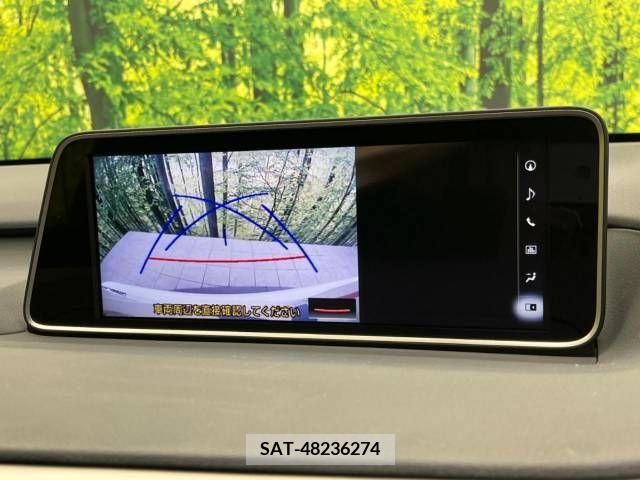 Lexus RX 2018-12 275870-5