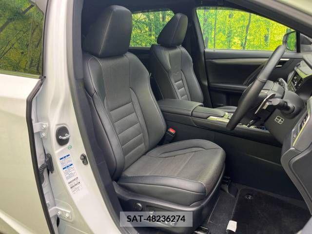 Lexus RX 2018-12 275870-8