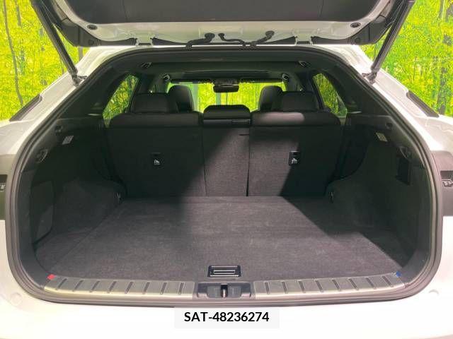 Lexus RX 2018-12 275870-10