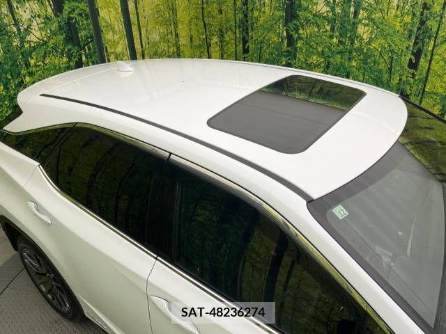 Lexus RX 2018-12 275870-2