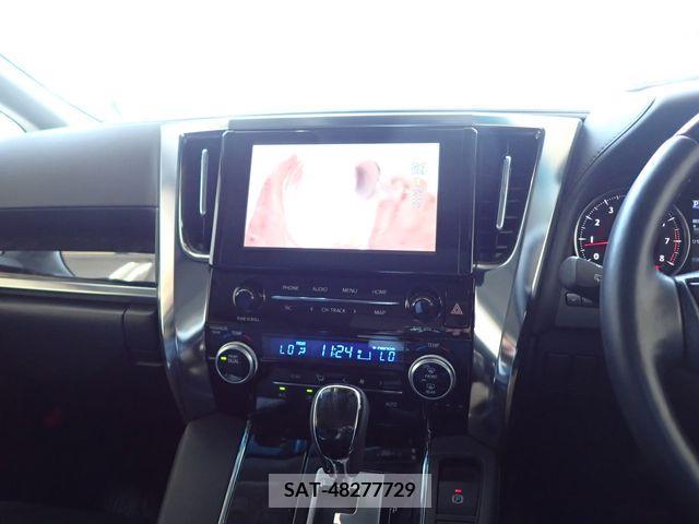 Toyota ALPHARD 2021-11 355397-18
