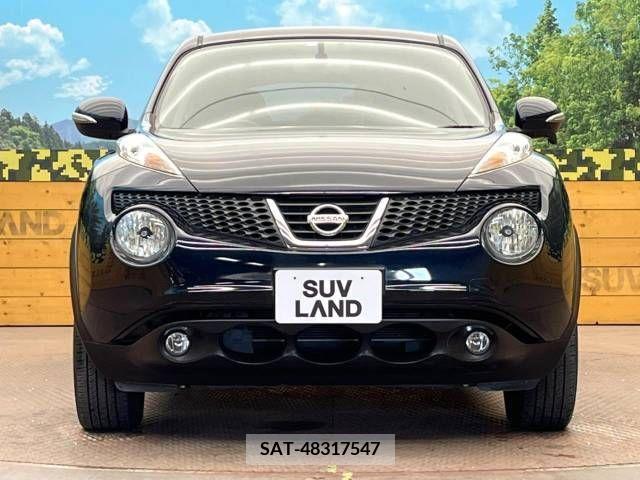Nissan JUKE 2013-04 376664-13