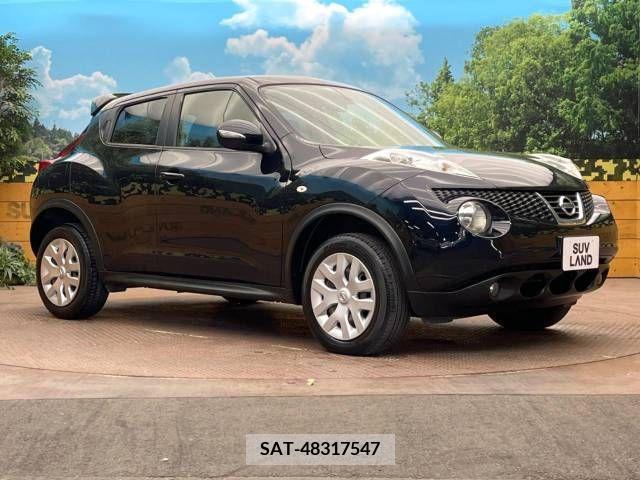 Nissan JUKE 2013-04 376664-16