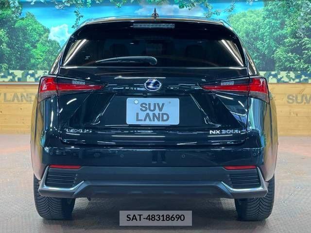 Lexus NX 2019-03 275672-17