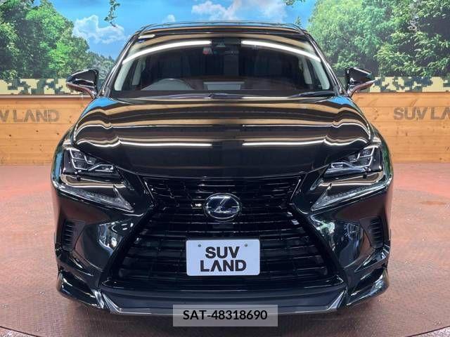 Lexus NX 2019-03 275672-16