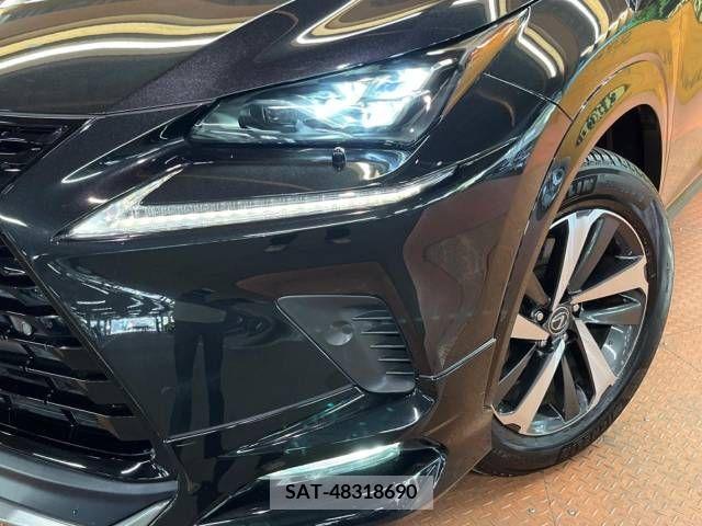 Lexus NX 2019-03 275672-14