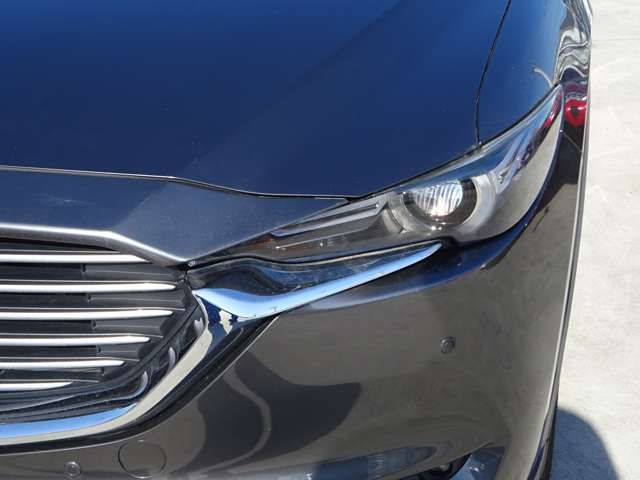 Mazda CX-8 2018-02 188662-16