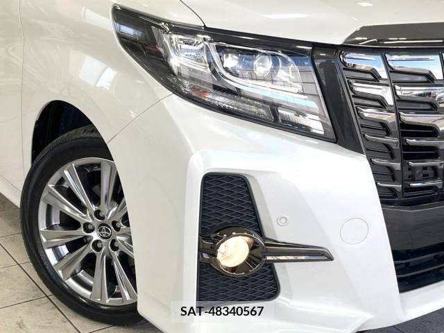 Toyota ALPHARD 2018-02 299412-13