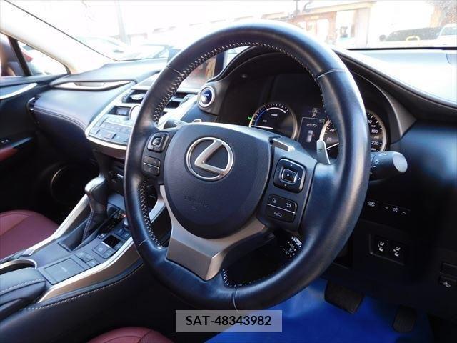 Lexus NX 2017-01 388369-21