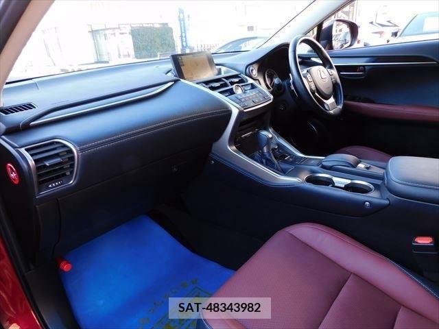 Lexus NX 2017-01 388369-10