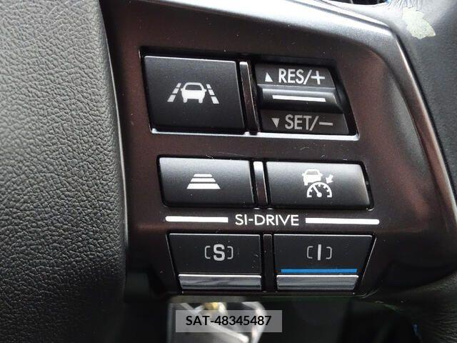 Subaru LEVORG 2014-09 243283-13