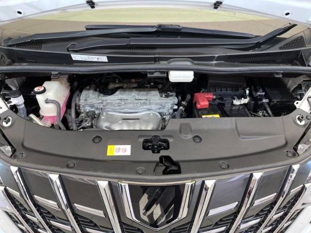 Toyota ALPHARD 2021-04 188451-19