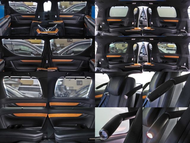 Toyota ALPHARD HYBRID 2017-03 3790-27
