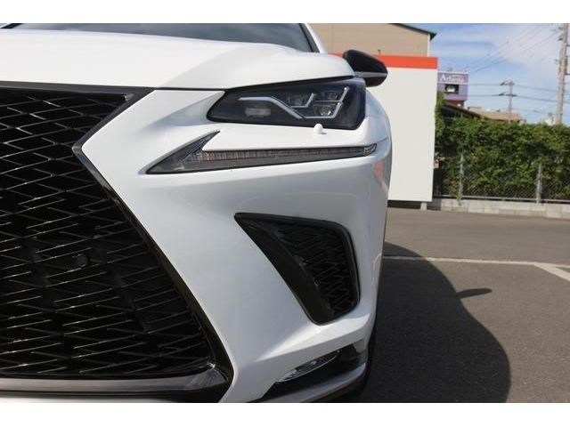 Lexus NX 2017-09 13651-5