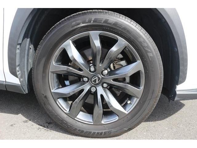 Lexus NX 2017-09 13651-8