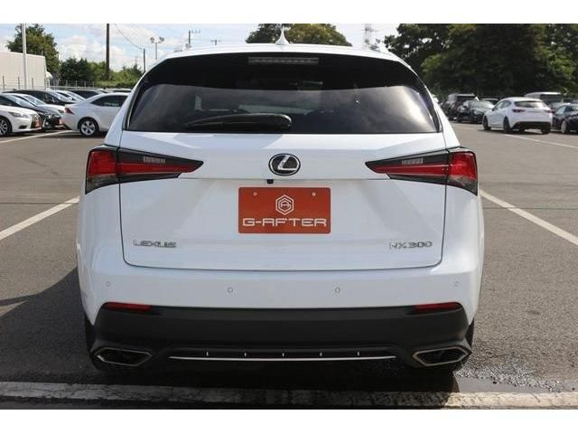 Lexus NX 2017-09 13651-3