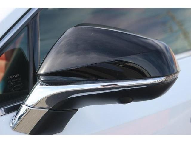 Lexus NX 2017-09 13651-7