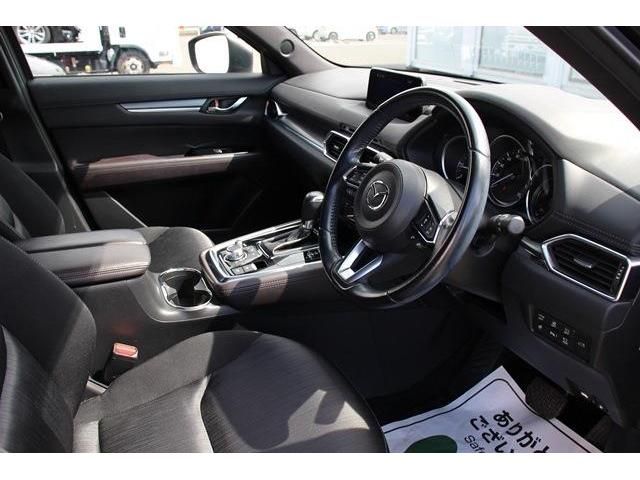 Mazda CX-8 2018-02 11929-13