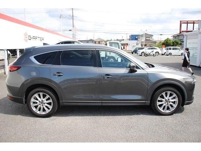 Mazda CX-8 2018-02 11929-9
