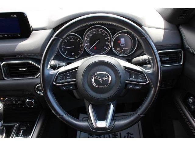 Mazda CX-8 2018-02 11929-16
