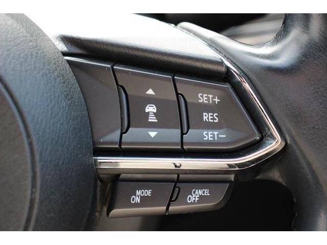 Mazda CX-8 2018-02 11929-5