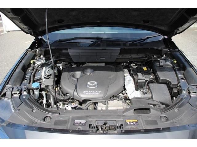 Mazda CX-8 2018-02 11929-18