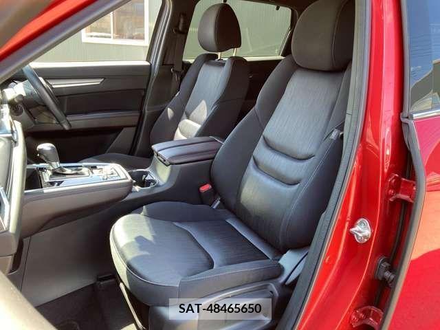 Mazda CX-8 2019-04 203921-19